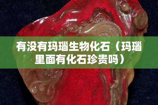 有没有玛瑙生物化石（玛瑙里面有化石珍贵吗）