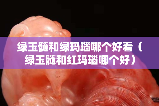 绿玉髓和绿玛瑙哪个好看（绿玉髓和红玛瑙哪个好）