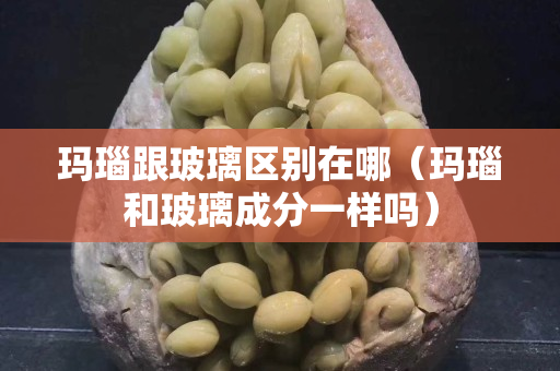 玛瑙跟玻璃区别在哪（玛瑙和玻璃成分一样吗）