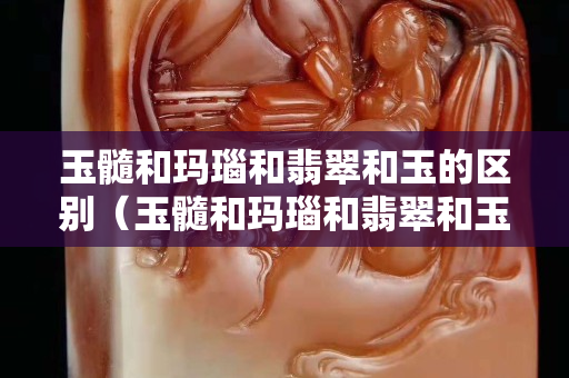 玉髓和玛瑙和翡翠和玉的区别（玉髓和玛瑙和翡翠和玉的区别在哪）