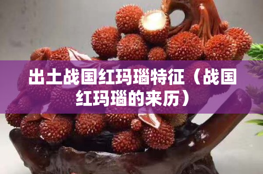 出土战国红玛瑙特征（战国红玛瑙的来历）