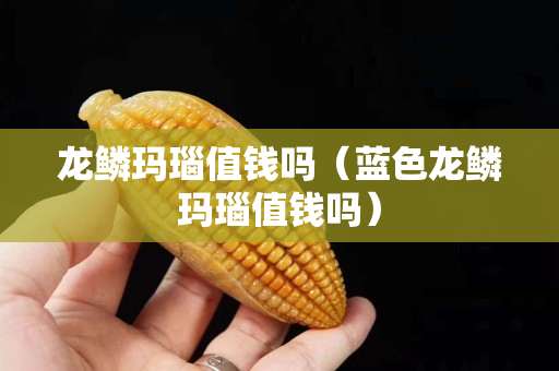 龙鳞玛瑙值钱吗（蓝色龙鳞玛瑙值钱吗）