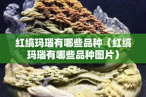 红缟玛瑙有哪些品种（红缟玛瑙有哪些品种图片）