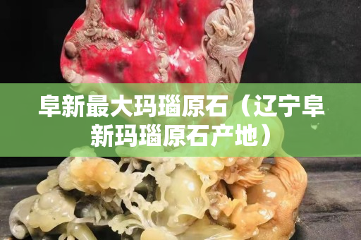 阜新最大玛瑙原石（辽宁阜新玛瑙原石产地）