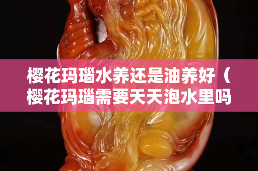 樱花玛瑙水养还是油养好（樱花玛瑙需要天天泡水里吗）
