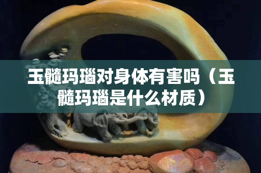 玉髓玛瑙对身体有害吗（玉髓玛瑙是什么材质）