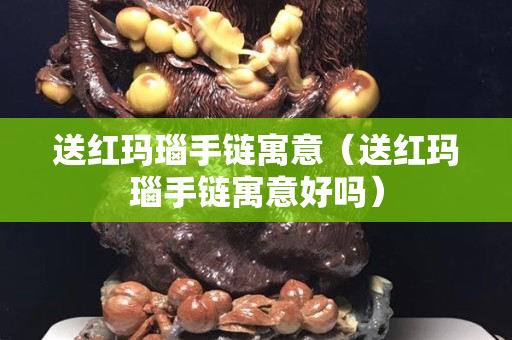 送红玛瑙手链寓意（送红玛瑙手链寓意好吗）