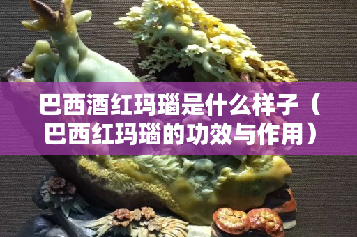 巴西酒红玛瑙是什么样子（巴西红玛瑙的功效与作用）