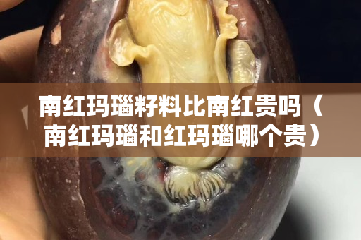 南红玛瑙籽料比南红贵吗（南红玛瑙和红玛瑙哪个贵）