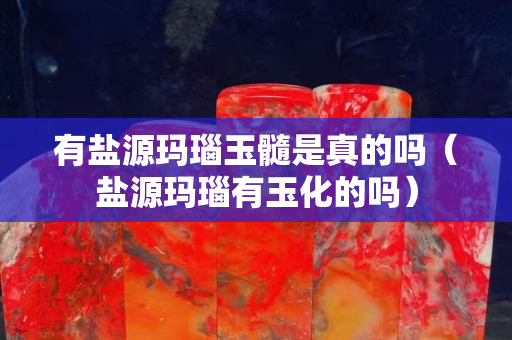 有盐源玛瑙玉髓是真的吗（盐源玛瑙有玉化的吗）