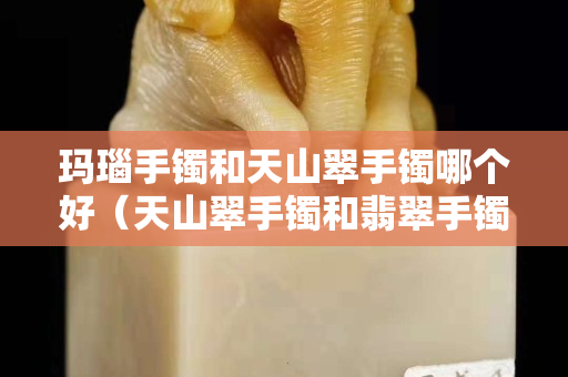 玛瑙手镯和天山翠手镯哪个好（天山翠手镯和翡翠手镯哪个好）