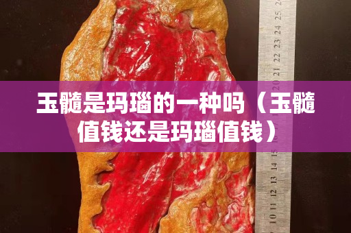 玉髓是玛瑙的一种吗（玉髓值钱还是玛瑙值钱）