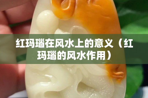 红玛瑙在风水上的意义（红玛瑙的风水作用）