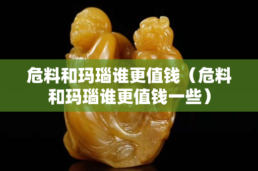 危料和玛瑙谁更值钱（危料和玛瑙谁更值钱一些）