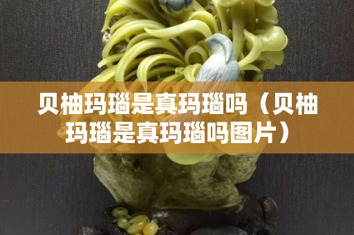 贝柚玛瑙是真玛瑙吗（贝柚玛瑙是真玛瑙吗图片）