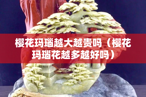 樱花玛瑙越大越贵吗（樱花玛瑙花越多越好吗）