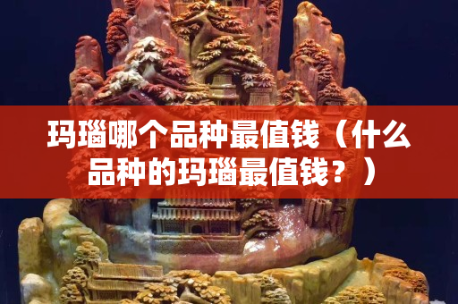 玛瑙哪个品种最值钱（什么品种的玛瑙最值钱？）