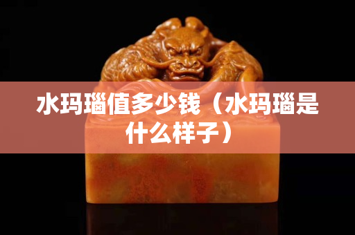 水玛瑙值多少钱（水玛瑙是什么样子）