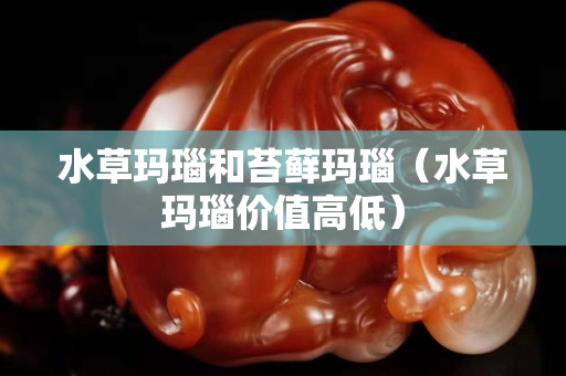 水草玛瑙和苔藓玛瑙（水草玛瑙价值高低）