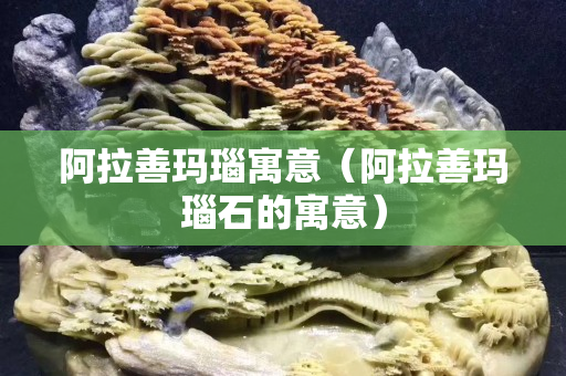 阿拉善玛瑙寓意（阿拉善玛瑙石的寓意）