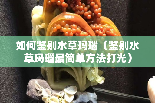 如何鉴别水草玛瑙（鉴别水草玛瑙最简单方法打光）