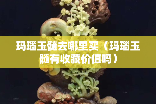 玛瑙玉髓去哪里买（玛瑙玉髓有收藏价值吗）