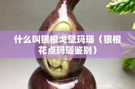 什么叫银根戈壁玛瑙（银根花点玛瑙鉴别）