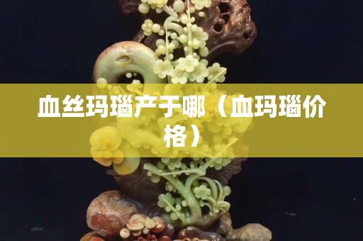 血丝玛瑙产于哪（血玛瑙价格）