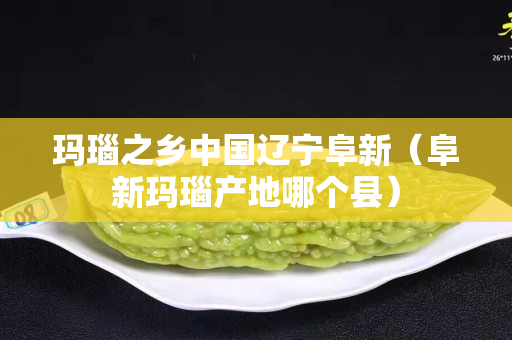 玛瑙之乡中国辽宁阜新（阜新玛瑙产地哪个县）
