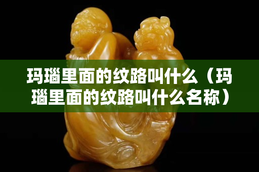 玛瑙里面的纹路叫什么（玛瑙里面的纹路叫什么名称）