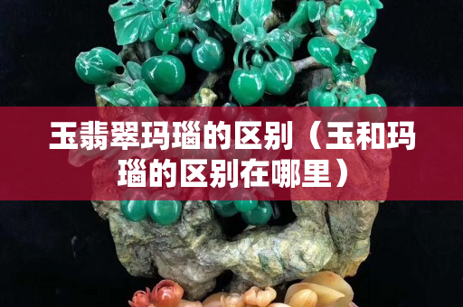 玉翡翠玛瑙的区别（玉和玛瑙的区别在哪里）