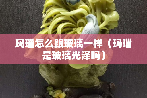 玛瑙怎么跟玻璃一样（玛瑙是玻璃光泽吗）