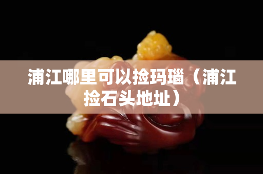 浦江哪里可以捡玛瑙（浦江捡石头地址）