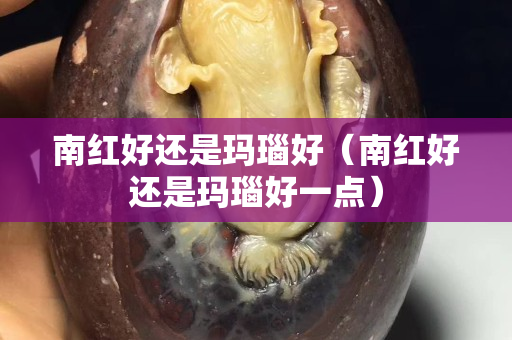 南红好还是玛瑙好（南红好还是玛瑙好一点）