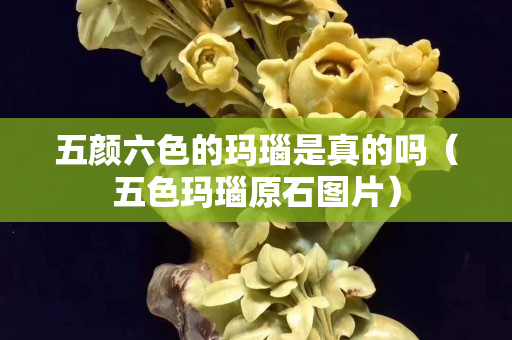 五颜六色的玛瑙是真的吗（五色玛瑙原石图片）