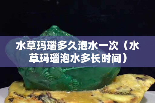 水草玛瑙多久泡水一次（水草玛瑙泡水多长时间）