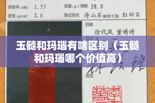 玉髓和玛瑙有啥区别（玉髓和玛瑙哪个价值高）