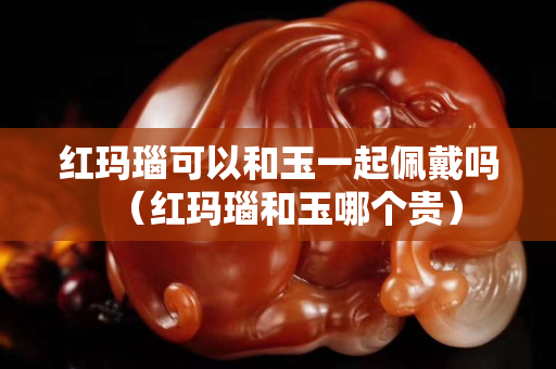 红玛瑙可以和玉一起佩戴吗（红玛瑙和玉哪个贵）