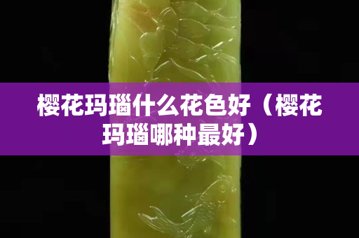 樱花玛瑙什么花色好（樱花玛瑙哪种最好）