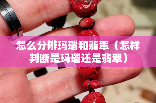 怎么分辨玛瑙和翡翠（怎样判断是玛瑙还是翡翠）