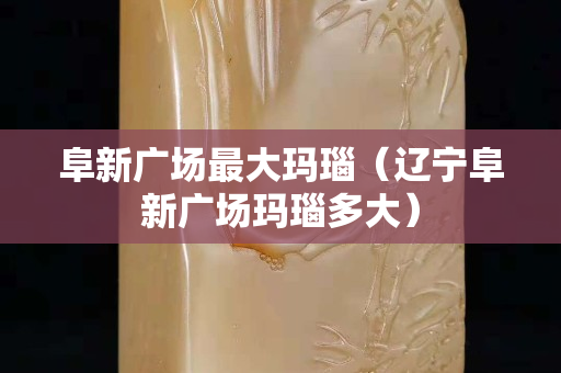 阜新广场最大玛瑙（辽宁阜新广场玛瑙多大）