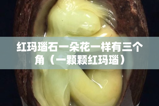 红玛瑙石一朵花一样有三个角（一颗颗红玛瑙）