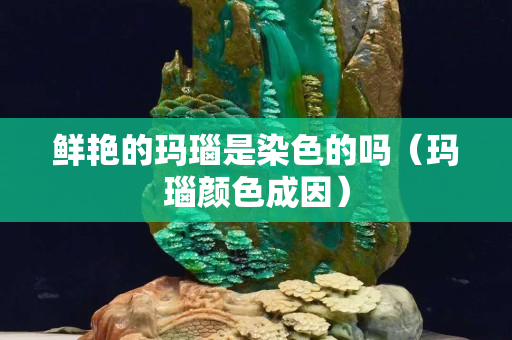 鲜艳的玛瑙是染色的吗（玛瑙颜色成因）