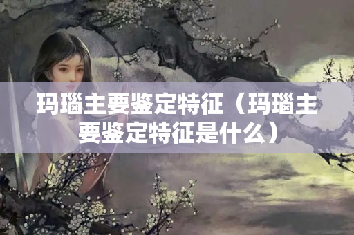 玛瑙主要鉴定特征（玛瑙主要鉴定特征是什么）