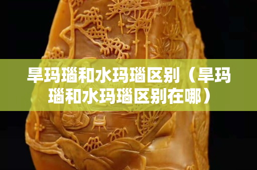 旱玛瑙和水玛瑙区别（旱玛瑙和水玛瑙区别在哪）