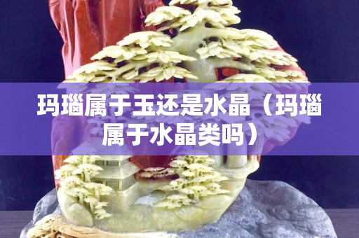 玛瑙属于玉还是水晶（玛瑙属于水晶类吗）