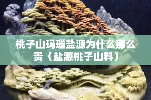 桃子山玛瑙盐源为什么那么贵（盐源桃子山料）