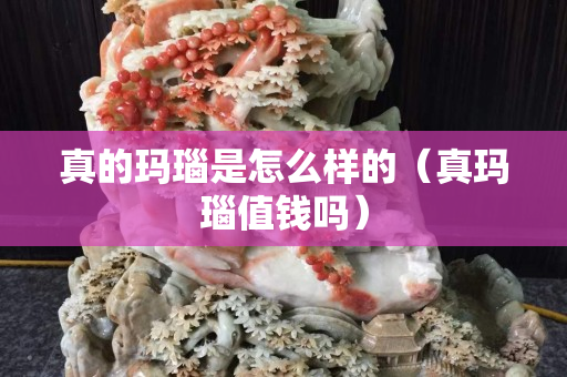 真的玛瑙是怎么样的（真玛瑙值钱吗）