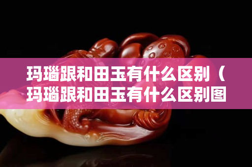 玛瑙跟和田玉有什么区别（玛瑙跟和田玉有什么区别图片）