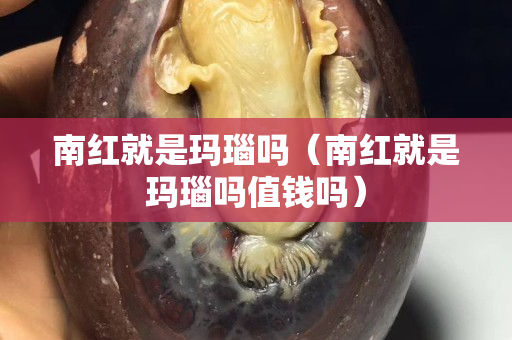 南红就是玛瑙吗（南红就是玛瑙吗值钱吗）